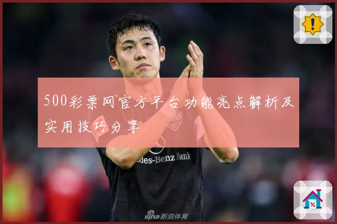 500彩票网官方平台功能亮点解析及实用技巧分享