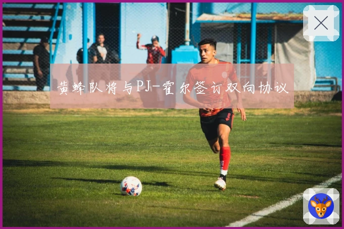 黄蜂队将与PJ-霍尔签订双向协议