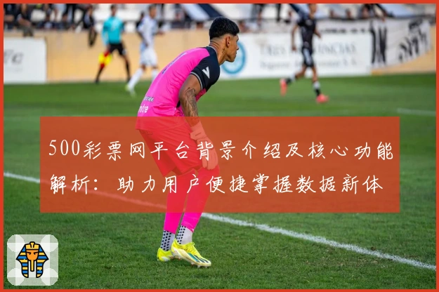 500彩票网平台背景介绍及核心功能解析：助力用户便捷掌握数据新体验