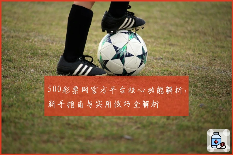 500彩票网官方平台核心功能解析，新手指南与实用技巧全解析